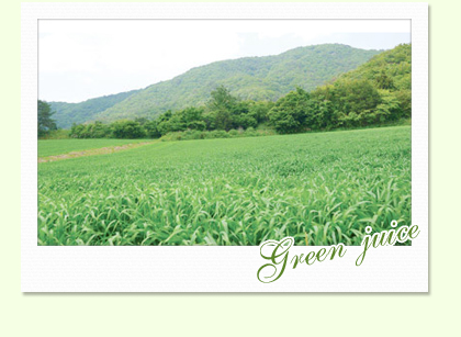 Green juice